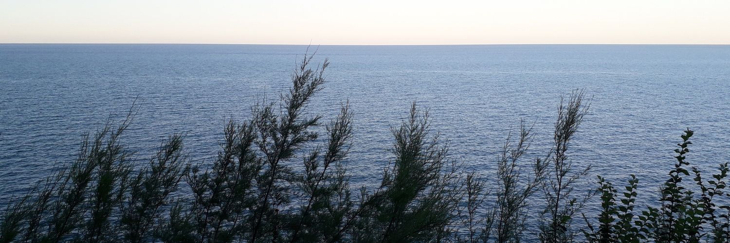 Laura Screpanti banner