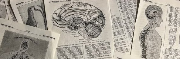 dani, acphr, rpm ‘26🫀 banner