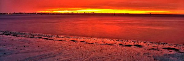 wgoggin Profile Banner