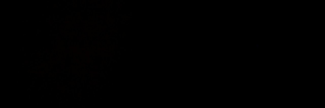 唐紅 / ボカロP banner