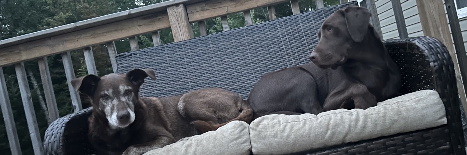 Brandon Legacy banner