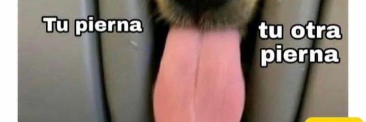 JCrauss1's profile banner image