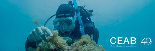 ceabcsic Profile Banner