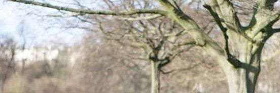 bonbonittaw's profile banner image