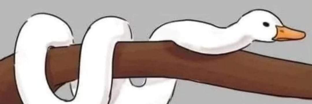 jealousgoose's profile banner image
