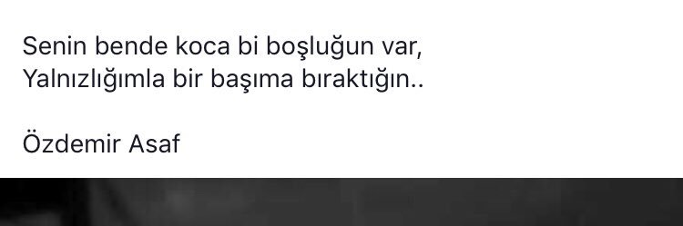 emine boz banner