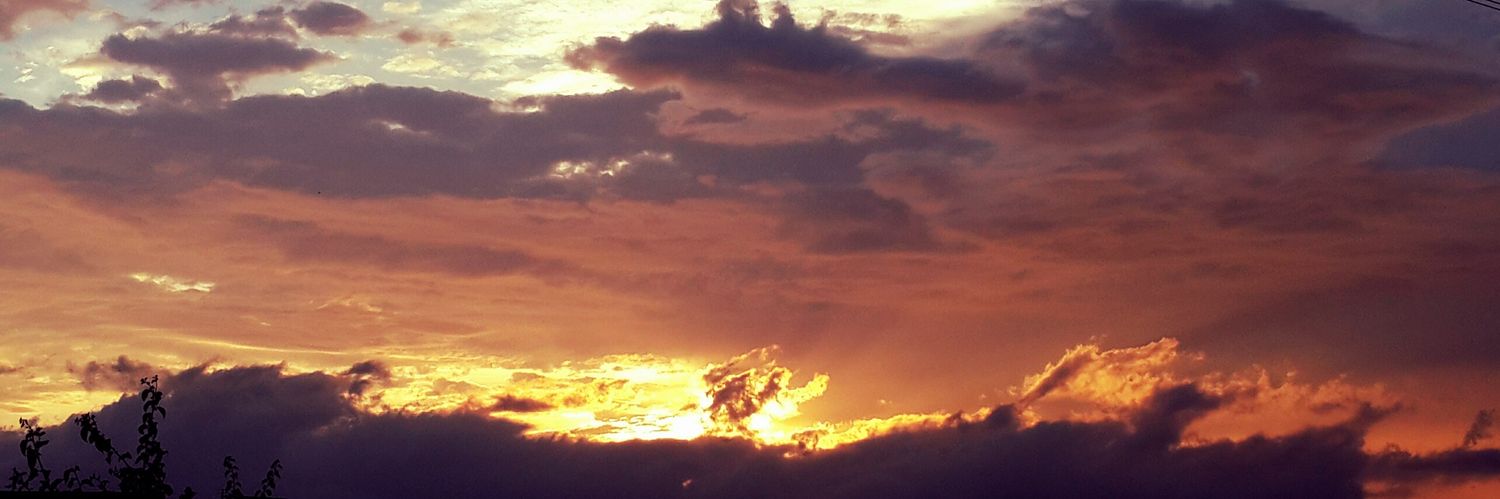 Vic_Ramphal's profile banner image