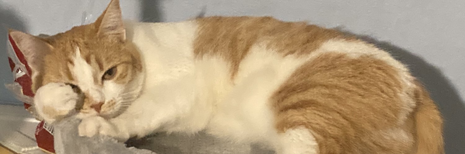 Maid Sae♡さえ🍤 Asayoru Maid Cafe banner