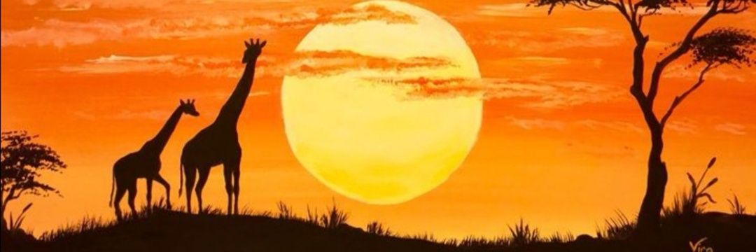 mlilon's profile banner image