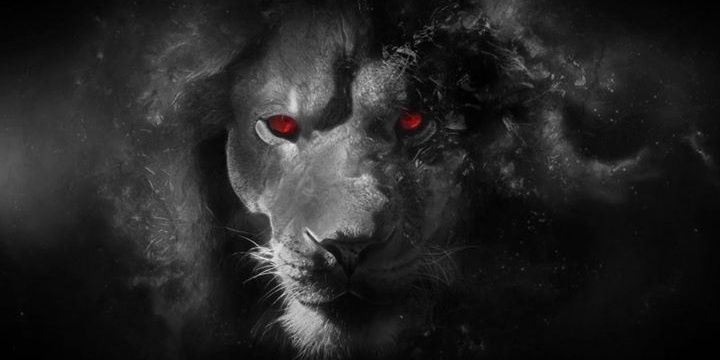 mufasa305native's profile banner image