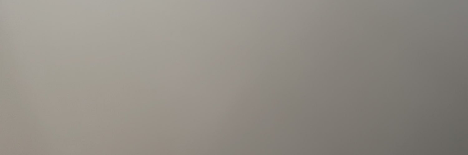 SunnyFranchetti's profile banner image
