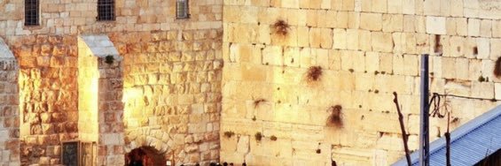 Zachary Daitch banner