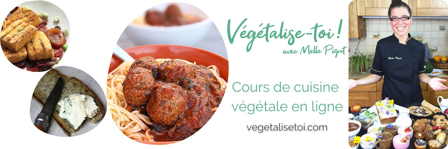 PIGUT Vegan Cuisine banner