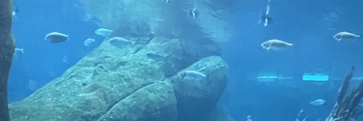 GonzoColin's profile banner image