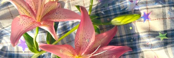 deadwhiteflower Profile Banner