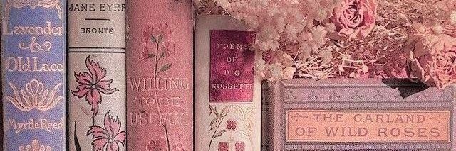 meira grande OR3 banner