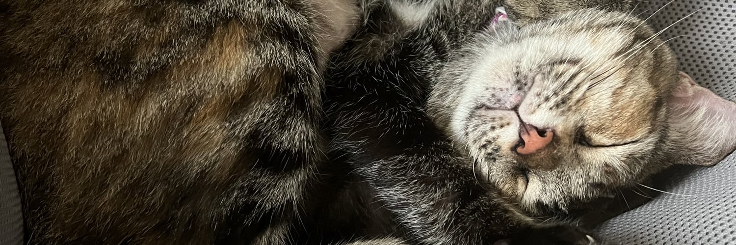 ClodyMeatstick banner