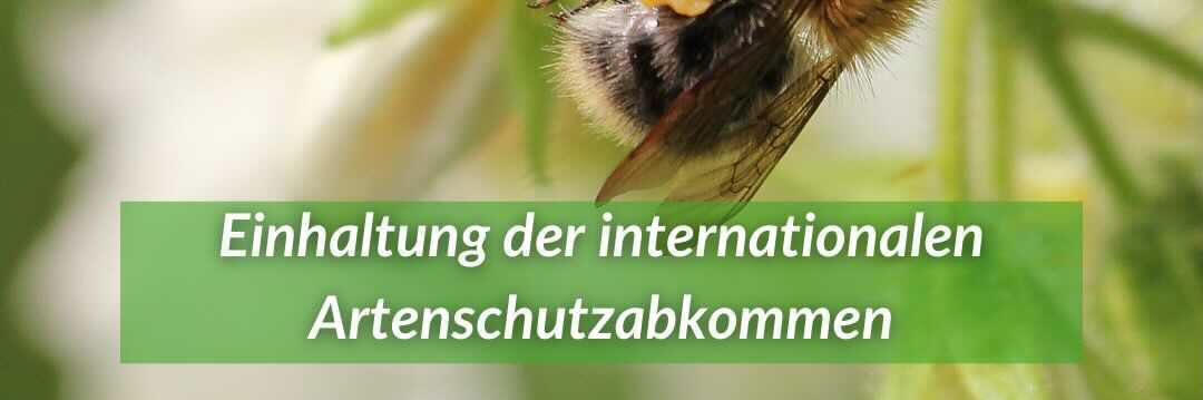 🌱Barbara H. voted for KlimalisteBW's banner
