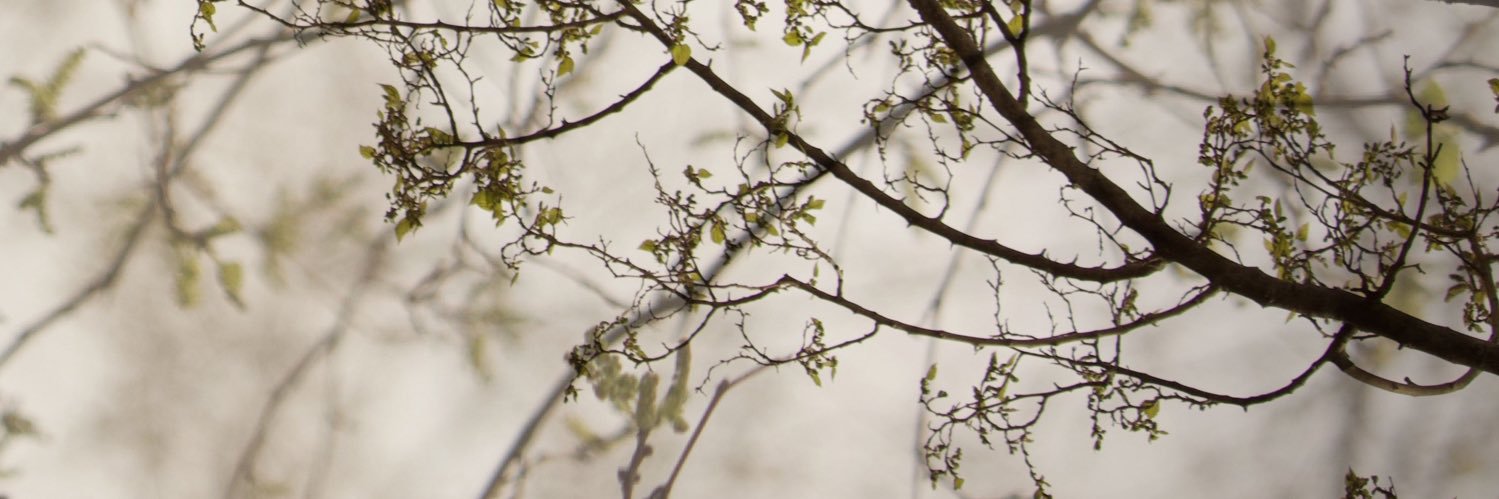 phvaquerizas's profile banner image