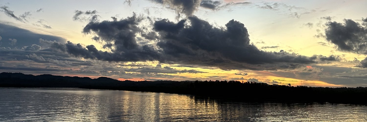 melynnb's profile banner image