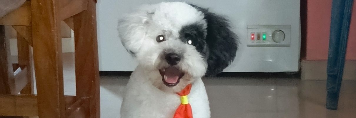 KarinLinyu's profile banner image
