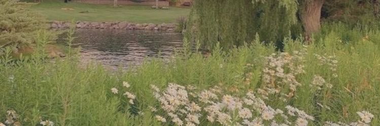 conansrose's profile banner image