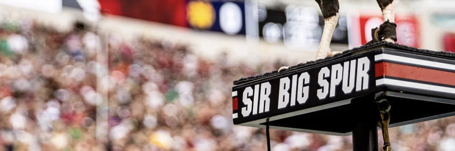 Sir Big Spur Profile Banner
