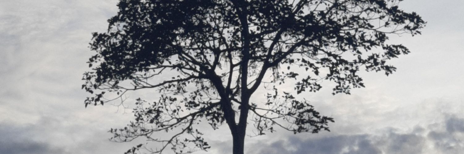 violeta_ila's profile banner image