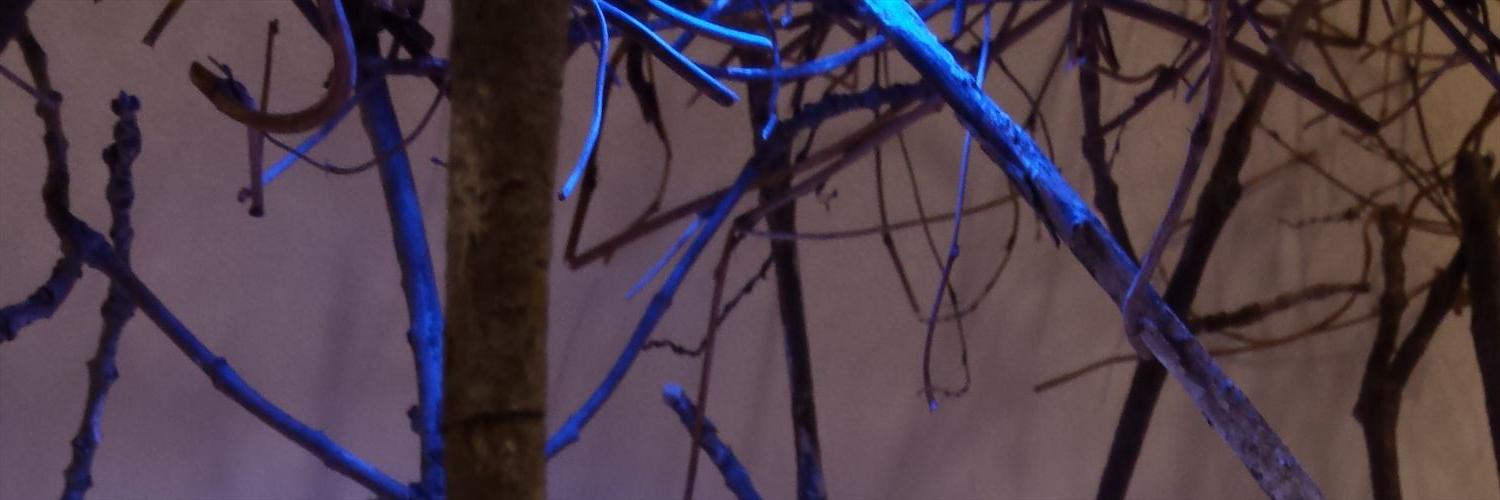ErikaOgden's profile banner image