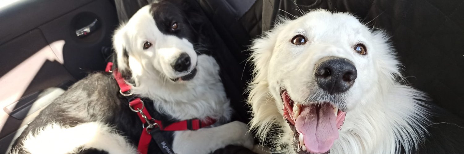 El Refugio de Brown banner