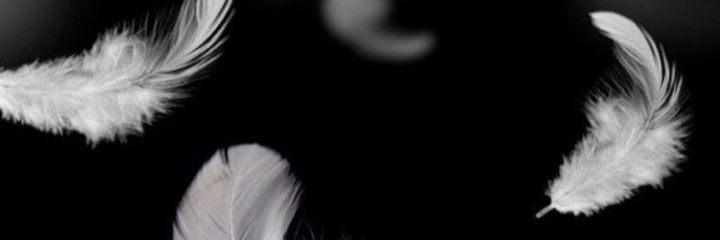 Ebru banner