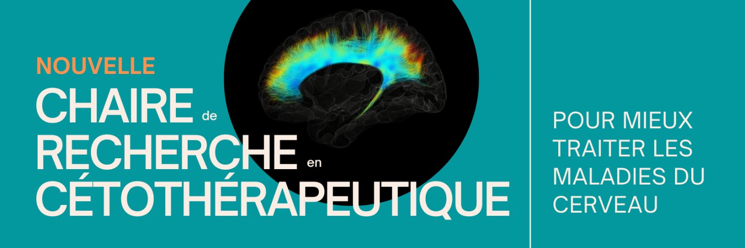 EquipeCerveau's profile banner image