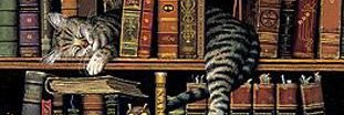 TomPaschold's profile banner image