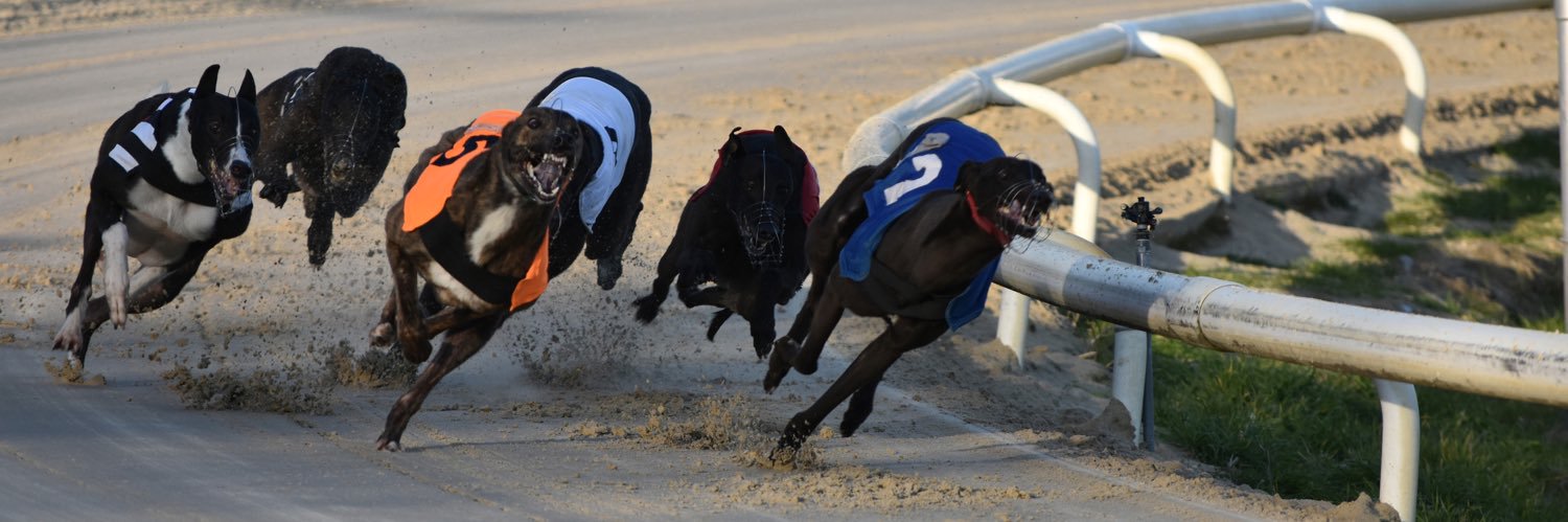 Legacy Racing Syndicate banner