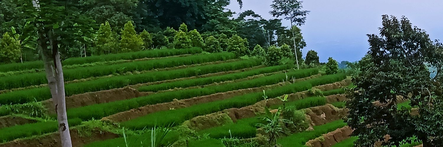 darsono1968's profile banner image