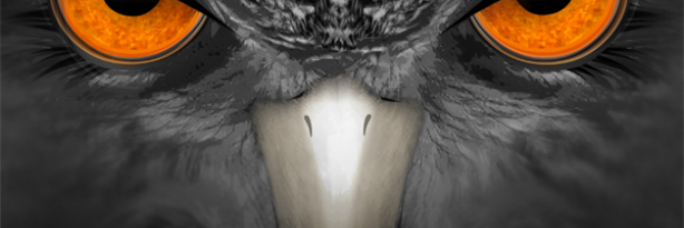 matakader's profile banner image