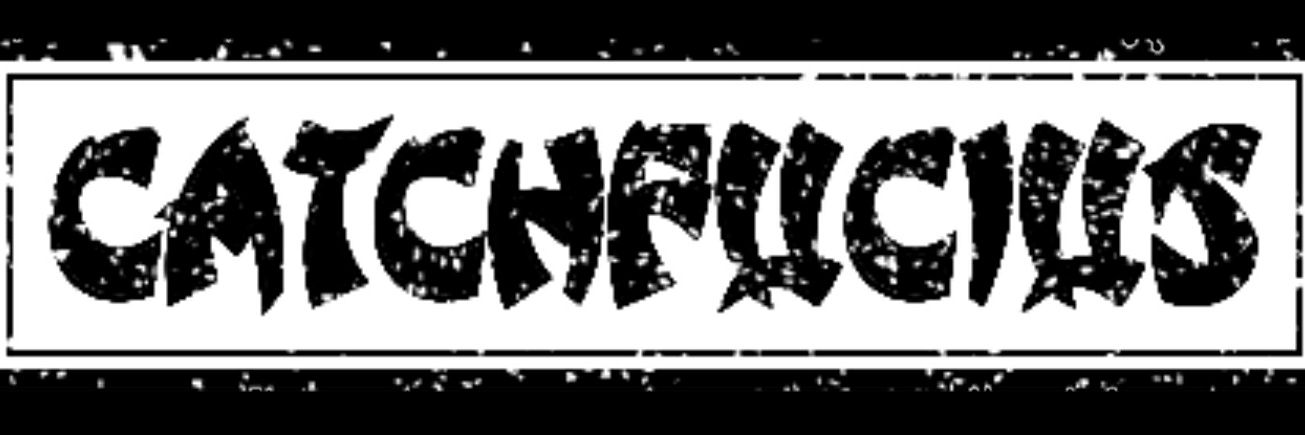 catchfucius's profile banner image