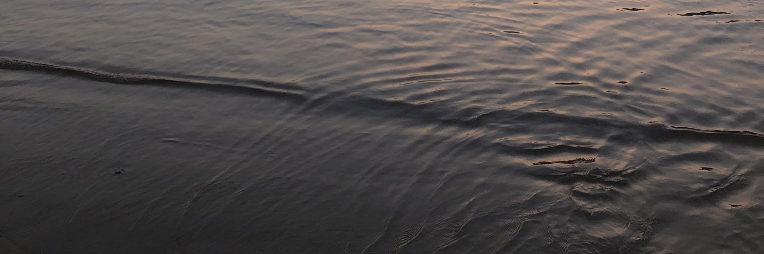 SheilaMonnzon's profile banner image