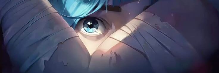 nananymr's profile banner image