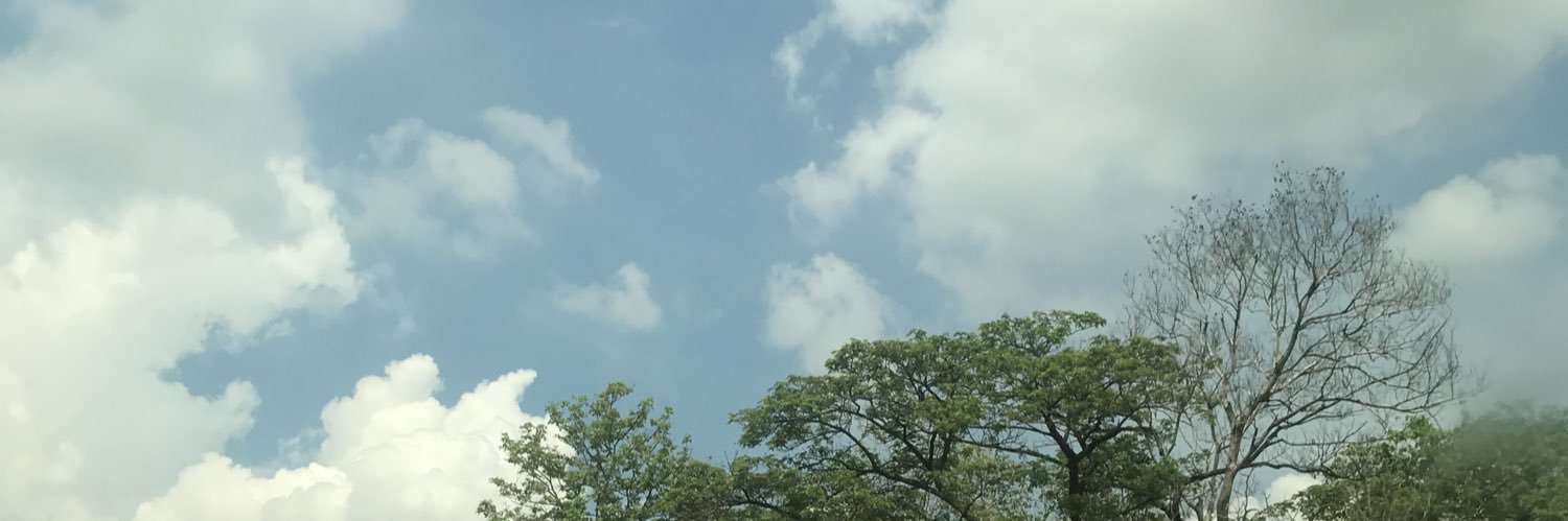 anyone banner