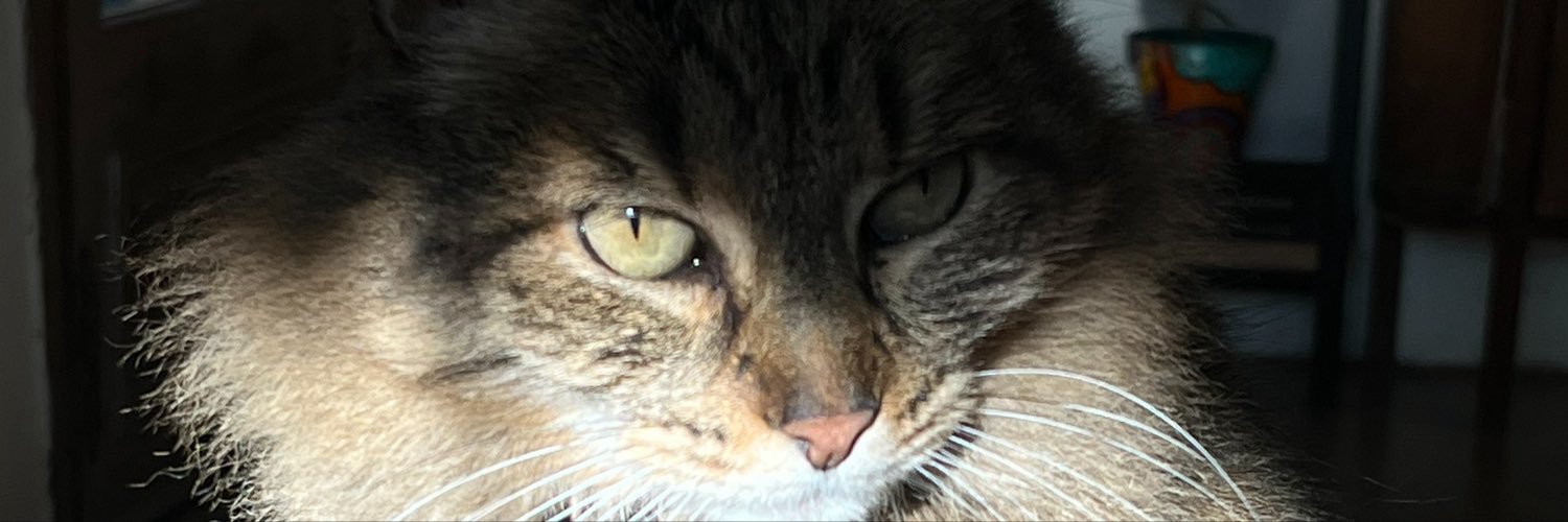 Vickyprimon1's profile banner image