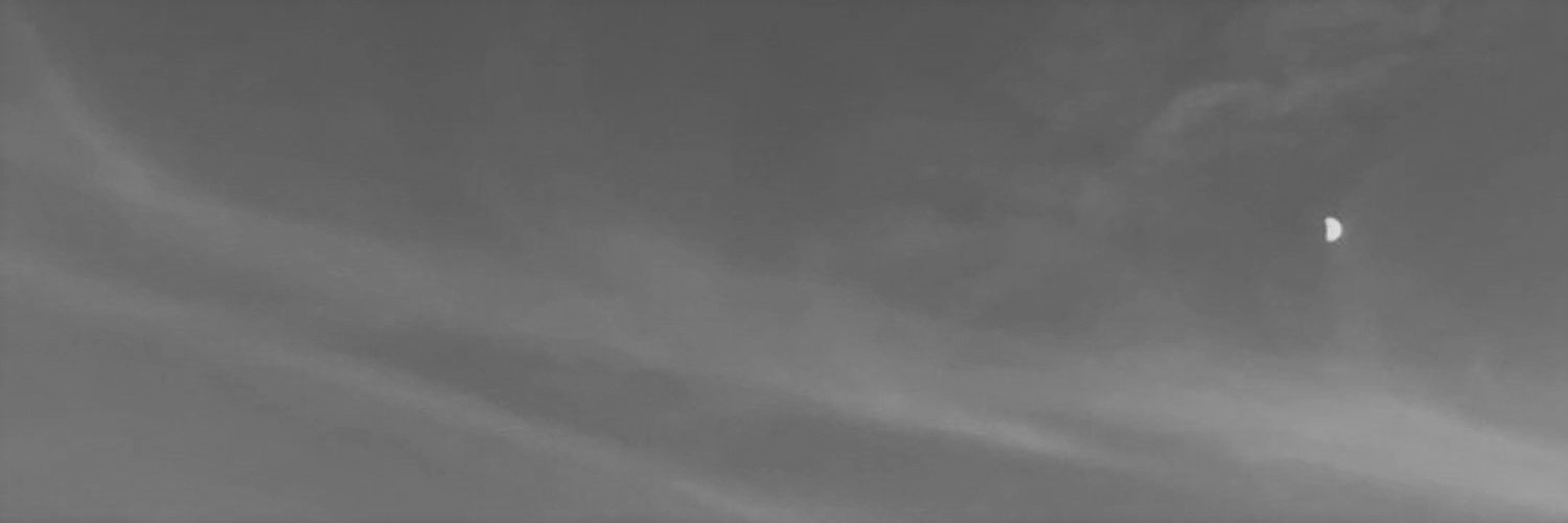 absentations's profile banner image