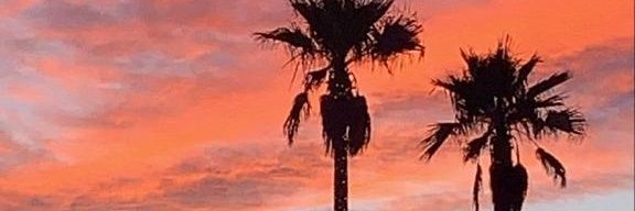 JMayanss's profile banner image