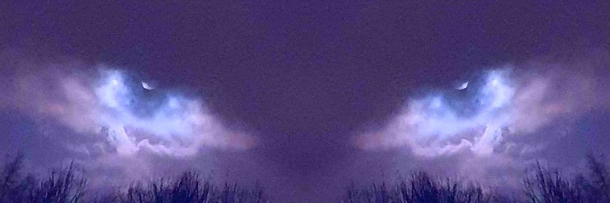 QuantumDog1's profile banner image