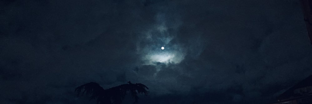 ysncrlr's profile banner image