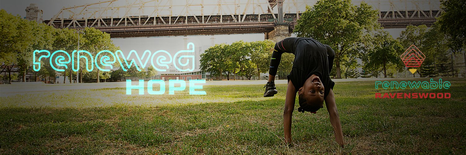 Rise Light & Power banner