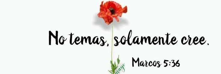 Ivette de Torres banner