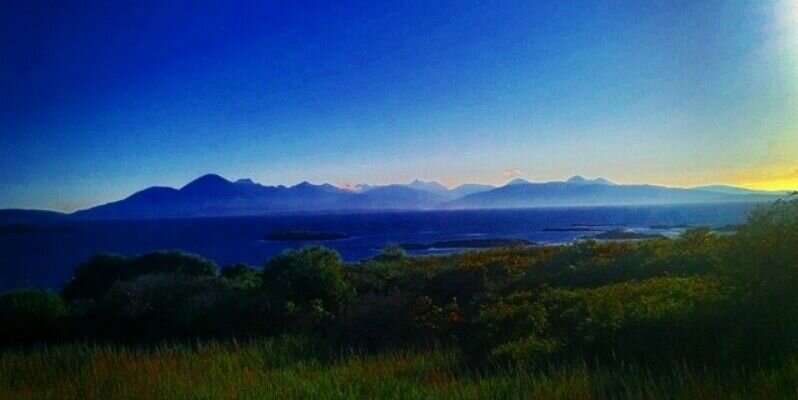 Caroline Turtle banner