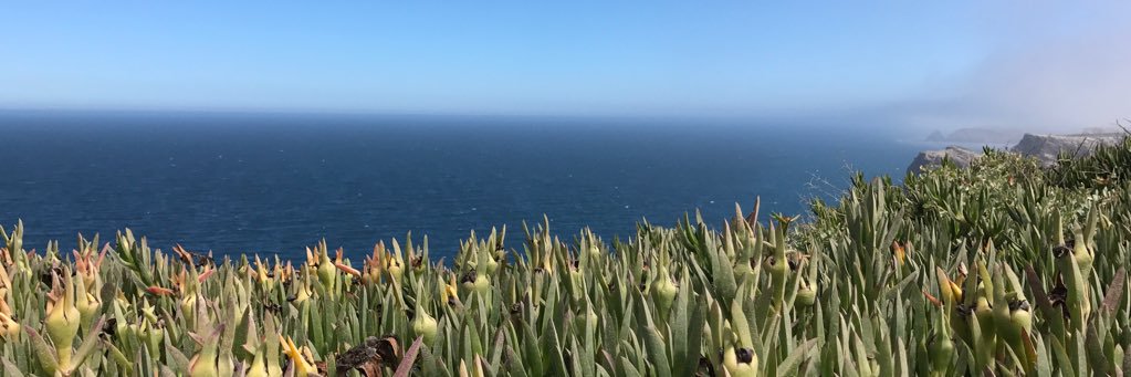 Sdumont27's profile banner image