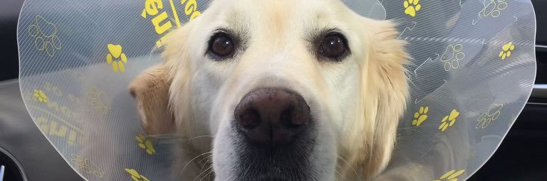 amelietldno's profile banner image